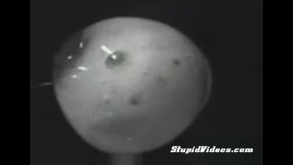 Zero Gravity Alka Seltzer
