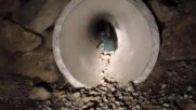 В Нова Зеландия построиха специален тунел за пингвини