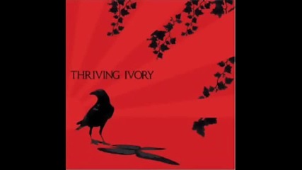 Thriving Ivory - Our December 