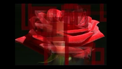 Rod Stewart - For The First Time