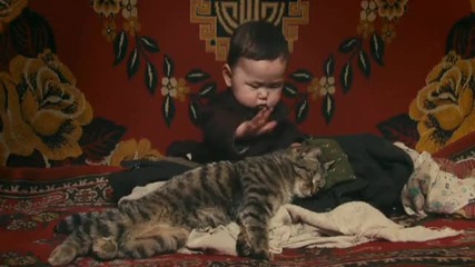 Babies with Animals 