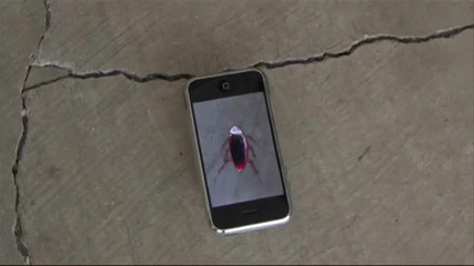Iphone Трик - Бръмбър