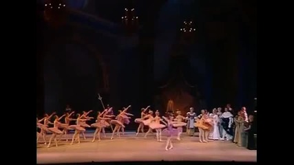 The Sleeping Beauty Kirov/marinsky Ballet 3