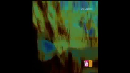 Dirty Cash.flv