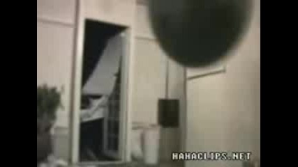 Welcome Home With Ball