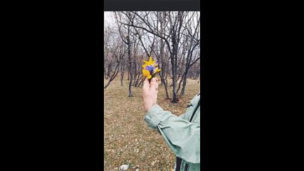Fb_vid_1327864485134761351.mp4