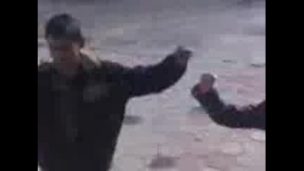 blondi Vs Cunta.3gp