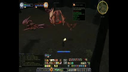 (lotro Game Play) Loremaster Vs. Drake Matron - Solo