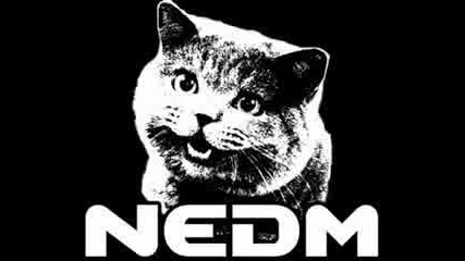 The Nedm Song