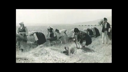 Стоян пшеница превява Надка Караджова