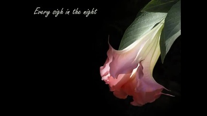 Celine Dion - Seduces me - (eng subs) 