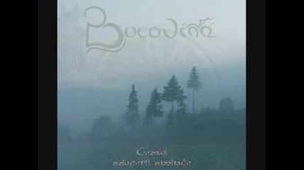 Bucovina - Stra 