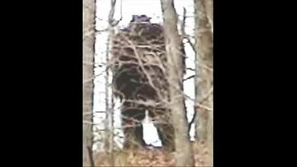 Неописуеми Създания