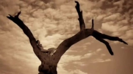 Peter Gabriel - The Book of Love,