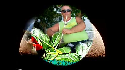 Цане Николовски Celito lindo 