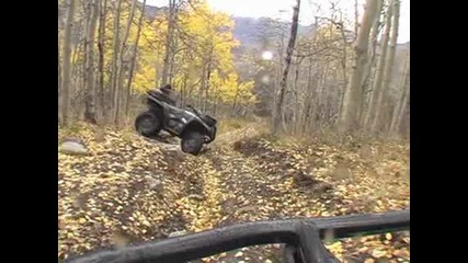 Atv се преобръща в гората