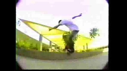 Rodney Mullen Skateboard
