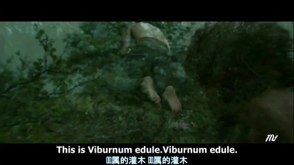 +eddie Vedder-society into the Wild