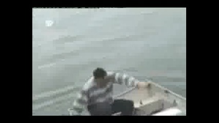 Много Як Смях