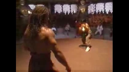 Monkey Kung Fu And Capoeira Fight Scene