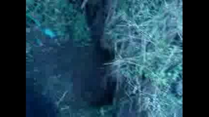 Mov00027.3gp