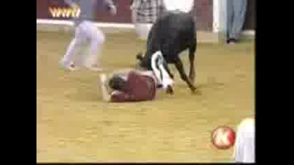 Bad day at the rodeo