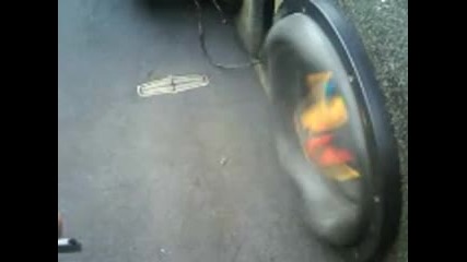 Bass 