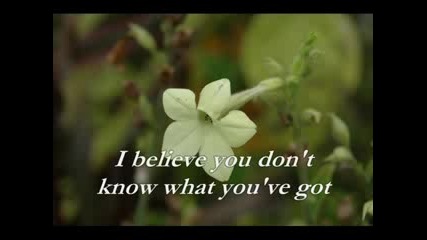 Savage Garden - Affirmation (with lyrics)