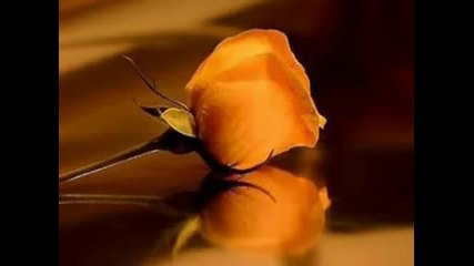 Sei Parte Ormai Di Me - Il Divo