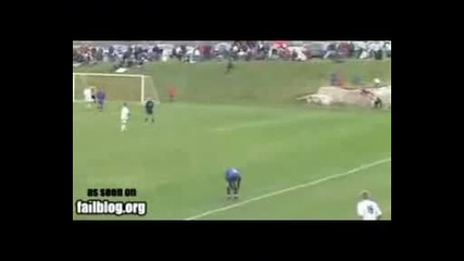 Само за смешни и забавни хора!