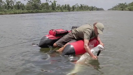 Tapаm - a flyfishing journey