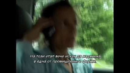 Свински бизнес _ Pig Business (2014)