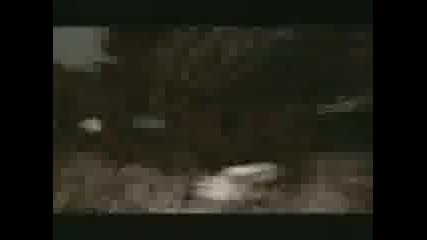 prodigy - spitfire