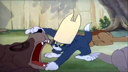 Tom and jerry - the dog hd