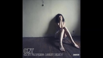 Crocy feat. Ashley Berndt - Cry 2014