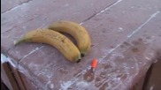 Ето как се забива пирон с банан