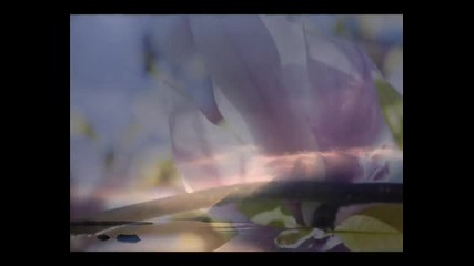 Samuel Barber - Adagio for Strings. Seelenrauschen - Visual Meditation and Relaxation 