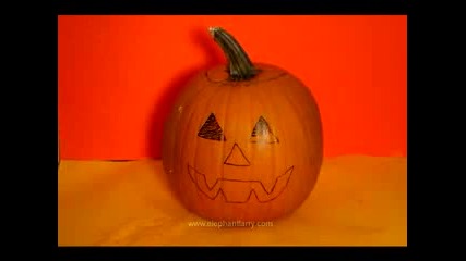 happy halloween 31.10.2010 