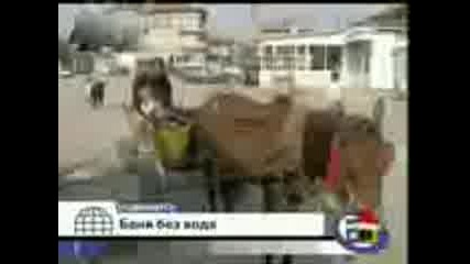 Romski Izcepki.