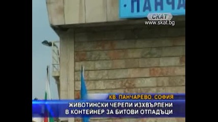 Животински черепи изхвърлени в контейнери за битови отпадъци