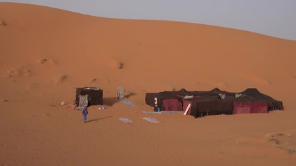 Alone In Desert - The Diner