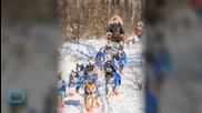 A Blind Dog is Competing in the Iditarod With the Rest of Her Family