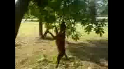 Mov04898