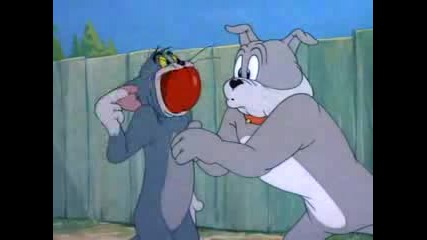 Tom & Jerry The Truce Hurts