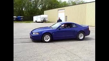 cobra svt