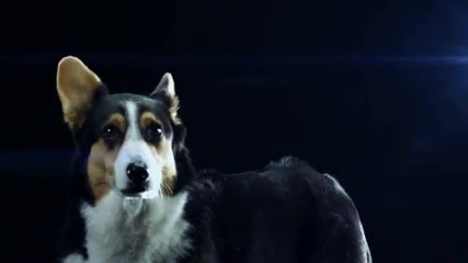 Swedish house mafia - Save the world