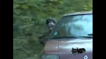 Гората с/у Момчетата (нешоуто на Нед) - funnyh0p