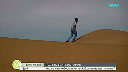 "Непознатите земи": Намибия - земя от пясък и цветове