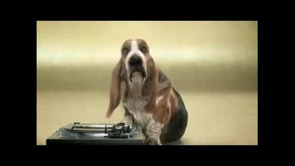 Куче Прави Beatbox