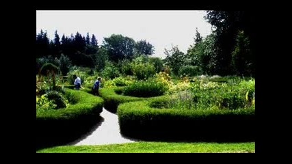 Goran Todorovski - Mi ja zede srekata
